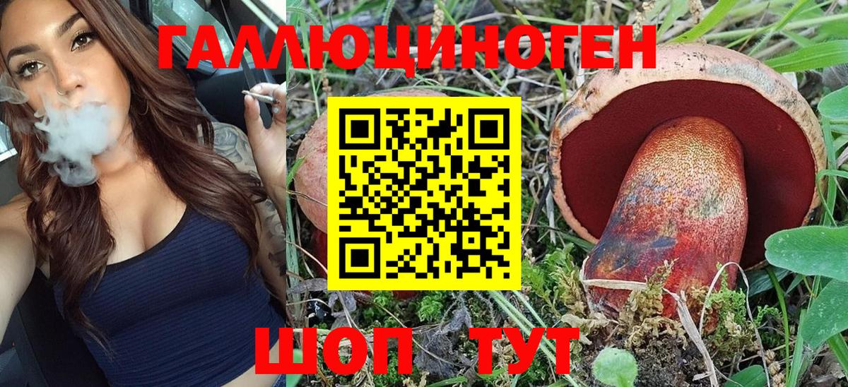 Псилоцибиновые грибы Psilocybe  Вход с VPN  Ковров  Псилоцибиновые грибы Psilocybine cubensis 